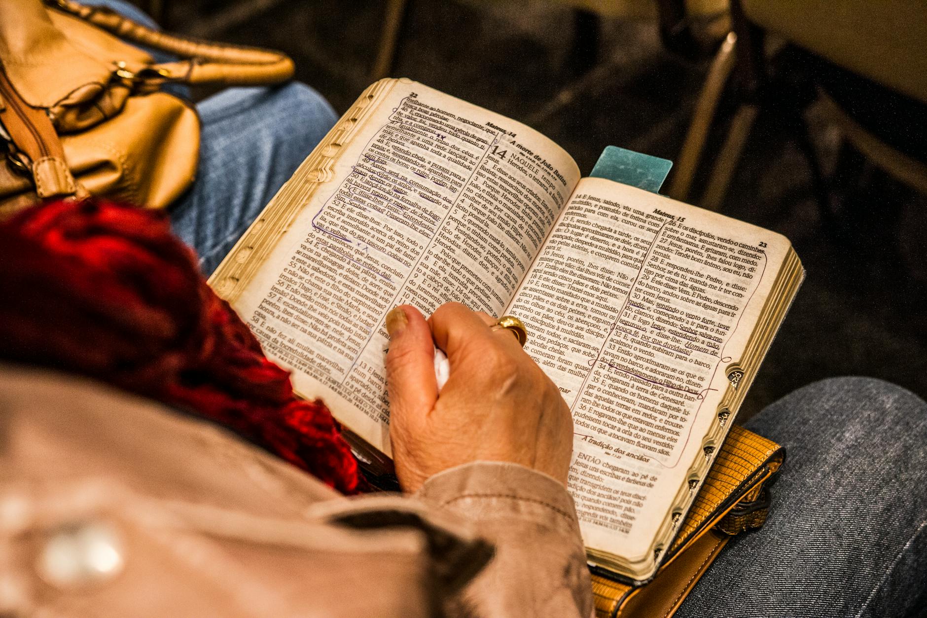 person holding opened book